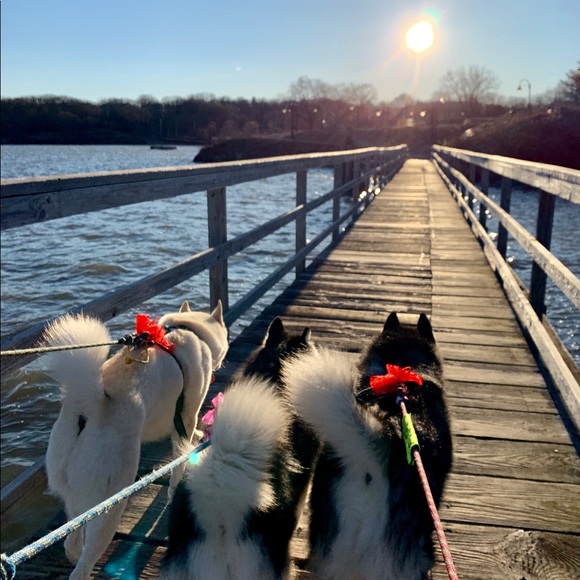 Meet your Posher, Michelle - Picture 7 of 8